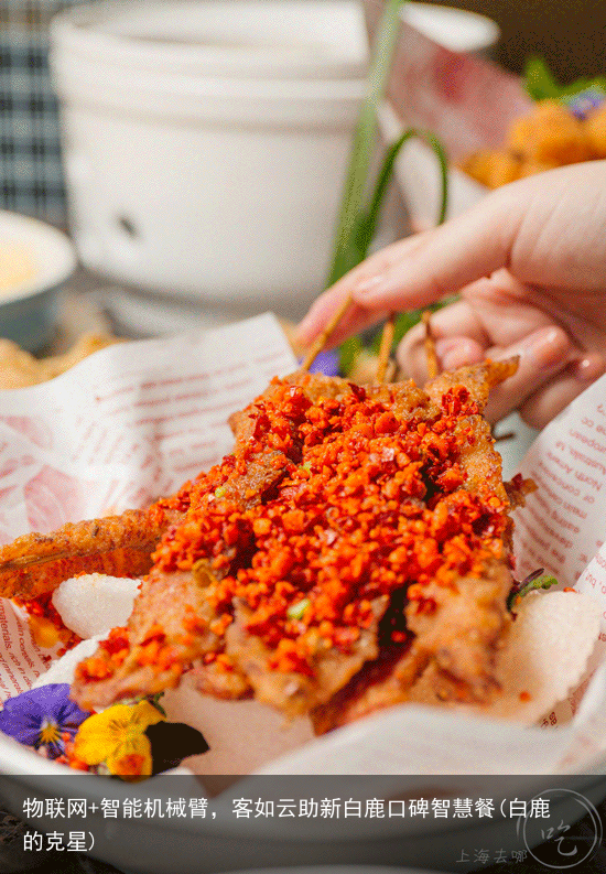 物联网+智能机械臂，客如云助新白鹿口碑智慧餐(白鹿的克星)