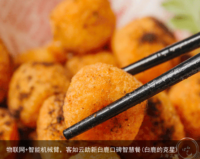 物联网+智能机械臂，客如云助新白鹿口碑智慧餐(白鹿的克星)