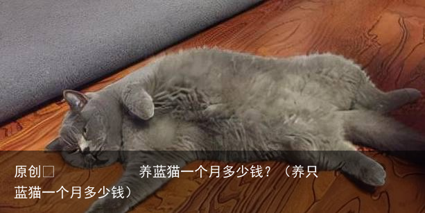 养蓝猫一个月多少钱？（养只蓝猫一个月多少钱）