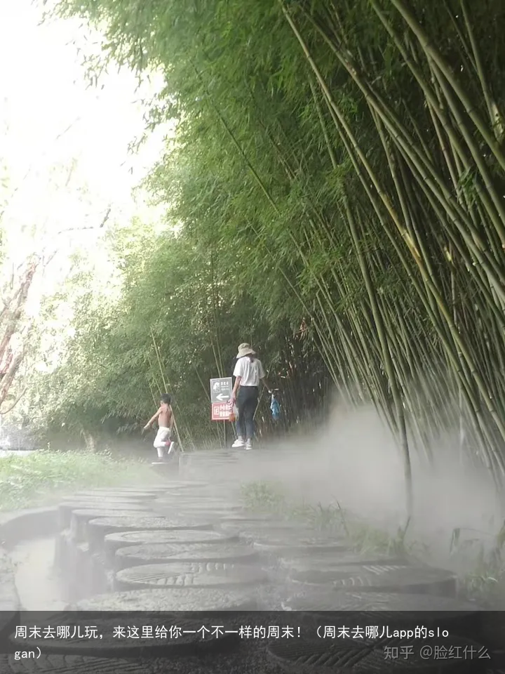 周末去哪儿玩，来这里给你一个不一样的周末！（周末去哪儿app的slogan）
