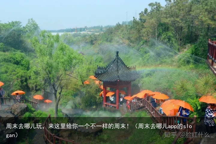 周末去哪儿玩，来这里给你一个不一样的周末！（周末去哪儿app的slogan）