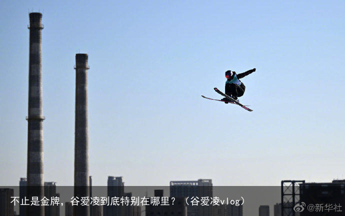 不止是金牌，谷爱凌到底特别在哪里？（谷爱凌vlog）