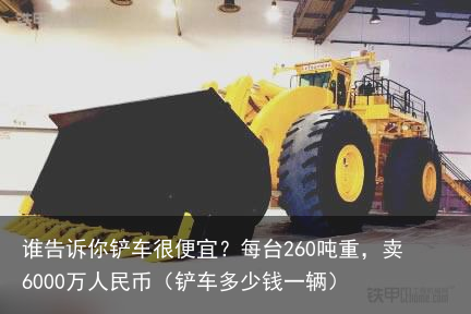 谁告诉你铲车很便宜？每台260吨重，卖6000万人民币（铲车多少钱一辆）