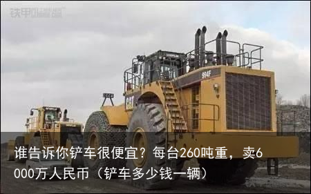 谁告诉你铲车很便宜？每台260吨重，卖6000万人民币（铲车多少钱一辆）