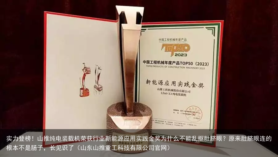 实力登榜！山推纯电装载机荣获行业新能源应用实践金奖