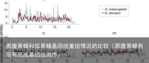 黑腹果蝇和拟果蝇基因组重组情况的比较（黑腹果蝇有没有完成基因组测序）