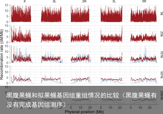 黑腹果蝇和拟果蝇基因组重组情况的比较（黑腹果蝇有没有完成基因组测序）