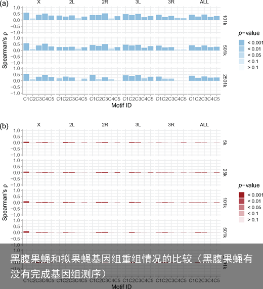 黑腹果蝇和拟果蝇基因组重组情况的比较（黑腹果蝇有没有完成基因组测序）