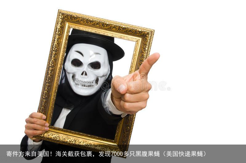 寄件方来自美国！海关截获包裹，发现7000多只黑腹果蝇（美国快递果蝇）