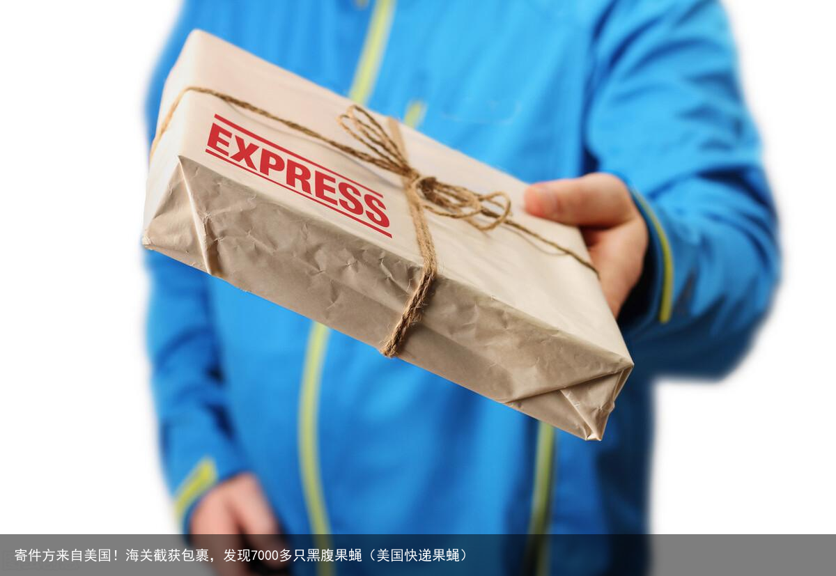 寄件方来自美国！海关截获包裹，发现7000多只黑腹果蝇（美国快递果蝇）