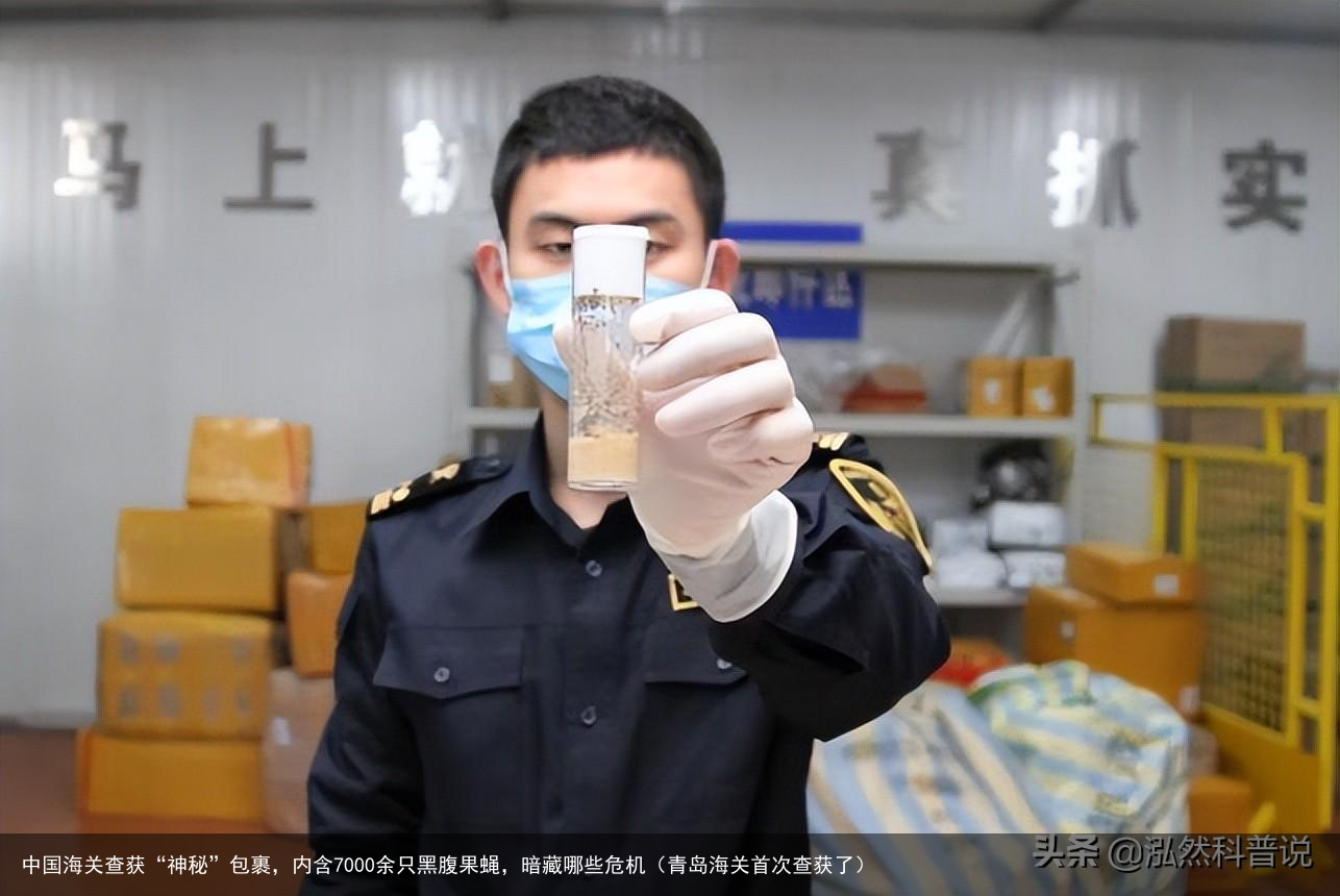 中国海关查获“神秘”包裹，内含7000余只黑腹果蝇，暗藏哪些危机（青岛海关首次查获了）