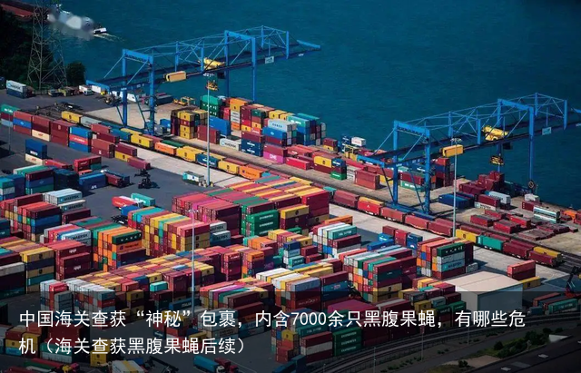 中国海关查获“神秘”包裹，内含7000余只黑腹果蝇，有哪些危机（海关查获黑腹果蝇后续）