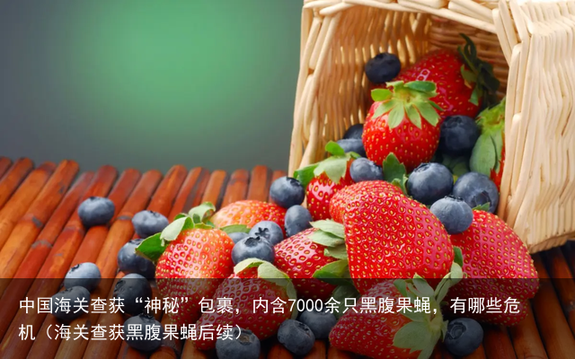 中国海关查获“神秘”包裹，内含7000余只黑腹果蝇，有哪些危机（海关查获黑腹果蝇后续）