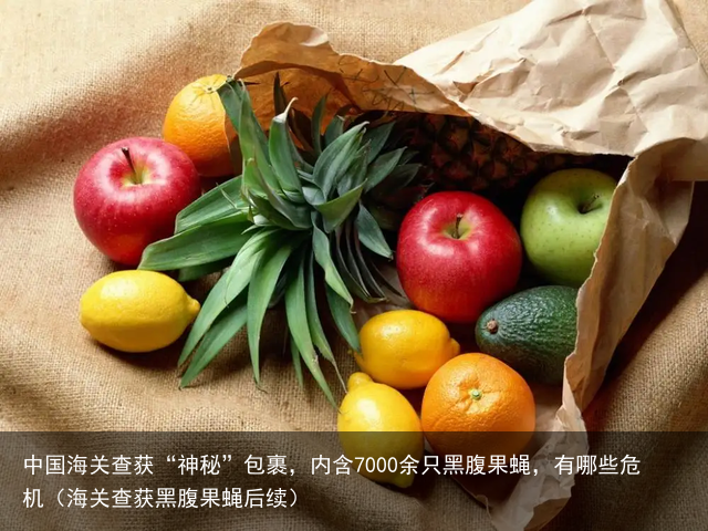 中国海关查获“神秘”包裹，内含7000余只黑腹果蝇，有哪些危机（海关查获黑腹果蝇后续）