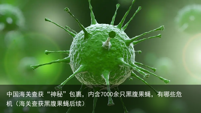 中国海关查获“神秘”包裹，内含7000余只黑腹果蝇，有哪些危机（海关查获黑腹果蝇后续）
