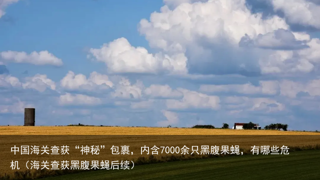 中国海关查获“神秘”包裹，内含7000余只黑腹果蝇，有哪些危机（海关查获黑腹果蝇后续）