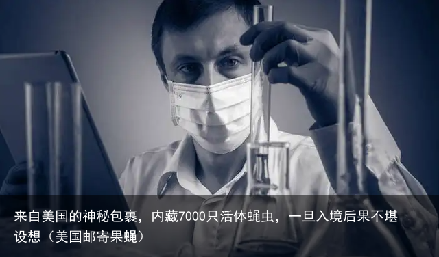 来自美国的神秘包裹，内藏7000只活体蝇虫，一旦入境后果不堪设想（美国邮寄果蝇）