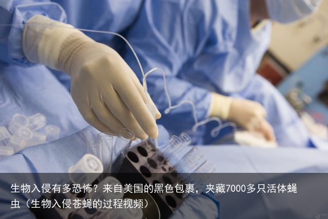 生物入侵有多恐怖？来自美国的黑色包裹，夹藏7000多只活体蝇虫（生物入侵苍蝇的过程视频）