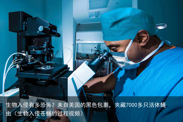 生物入侵有多恐怖？来自美国的黑色包裹，夹藏7000多只活体蝇虫（生物入侵苍蝇的过程视频）