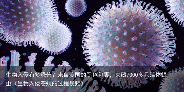 生物入侵有多恐怖？来自美国的黑色包裹，夹藏7000多只活体蝇虫（生物入侵苍蝇的过程视频）