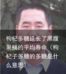 枸杞多糖延长了黑腹果蝇的平均寿命（枸杞子多糖的多糖是什么意思）