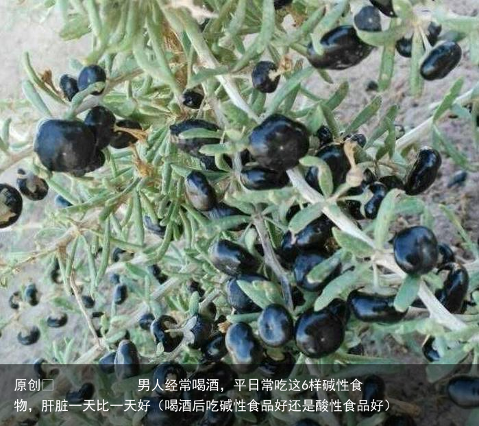 男人经常喝酒，平日常吃这6样碱性食物，肝脏一天比一天好（喝酒后吃碱性食品好还是酸性食品好）