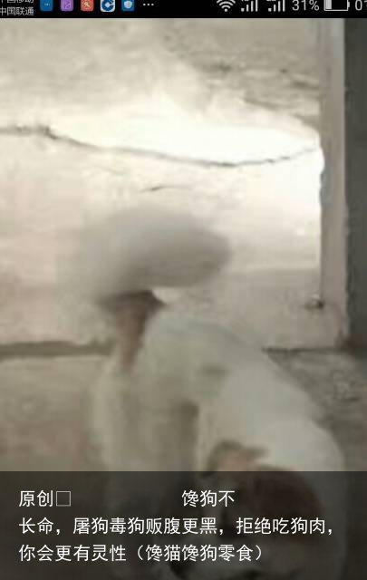 馋狗不长命，屠狗毒狗贩腹更黑，拒绝吃狗肉，你会更有灵性（馋猫馋狗零食）
