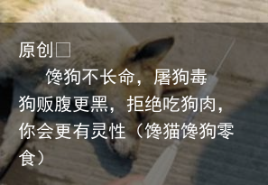 馋狗不长命，屠狗毒狗贩腹更黑，拒绝吃狗肉，你会更有灵性（馋猫馋狗零食）