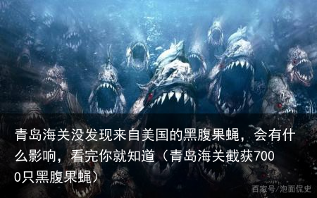 青岛海关没发现来自美国的黑腹果蝇，会有什么影响，看完你就知道（青岛海关截获7000只黑腹果蝇）