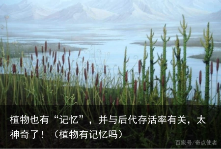 植物也有“记忆”，并与后代存活率有关，太神奇了！（植物有记忆吗）