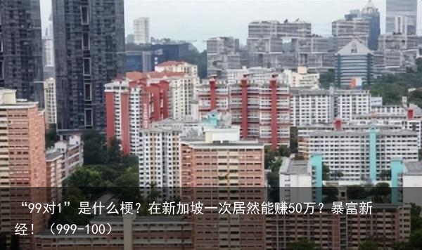 “99对1”是什么梗？在新加坡一次居然能赚50万？暴富新经！（999-100）