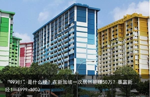 “99对1”是什么梗？在新加坡一次居然能赚50万？暴富新经！（999-100）