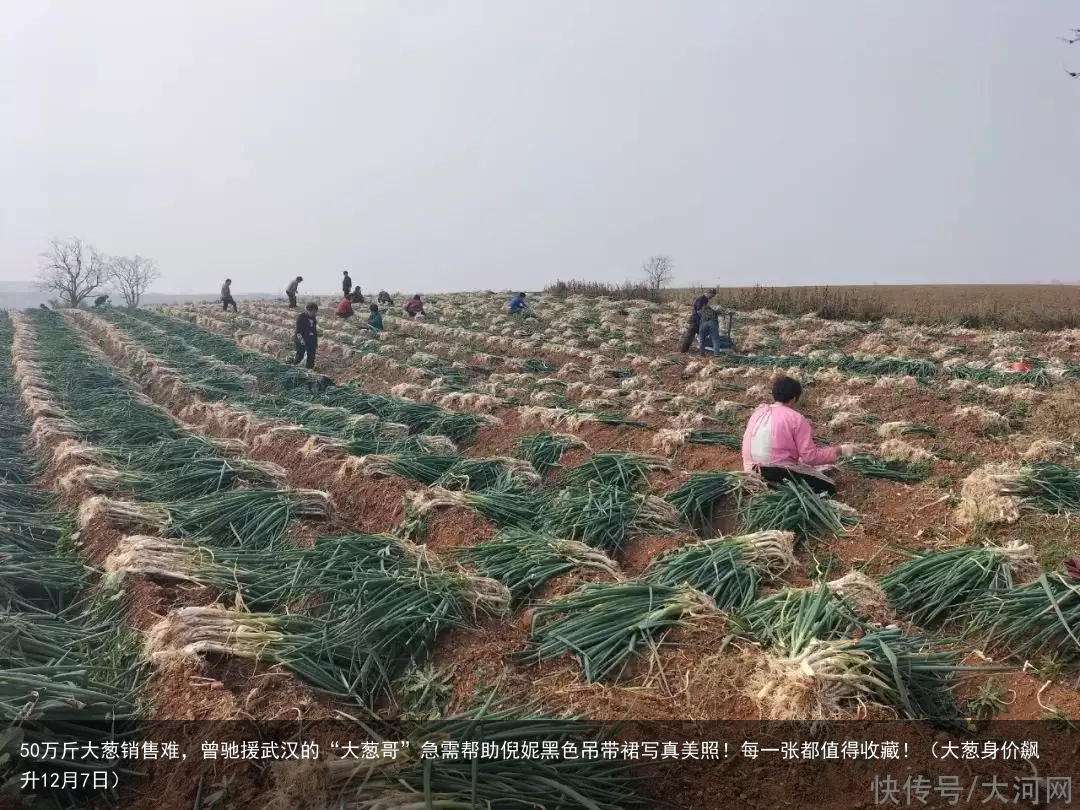 50万斤大葱销售难，曾驰援武汉的“大葱哥”急需帮助倪妮黑色吊带裙写真美照！每一张都值得收藏！（大葱身价飙升12月7日）