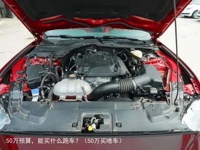 50万预算，能买什么跑车？（50万买啥车）