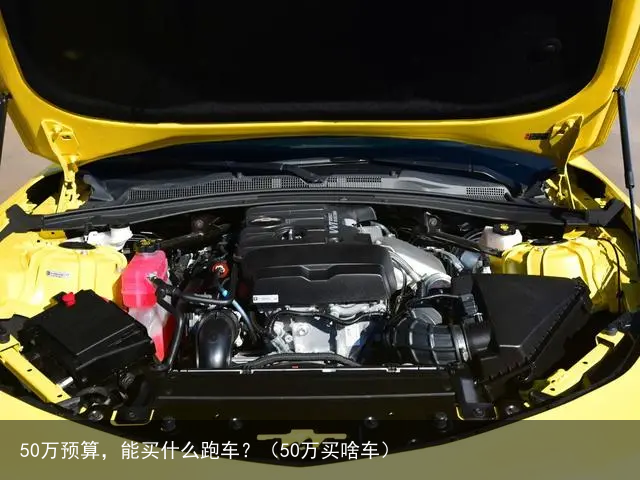 50万预算，能买什么跑车？（50万买啥车）