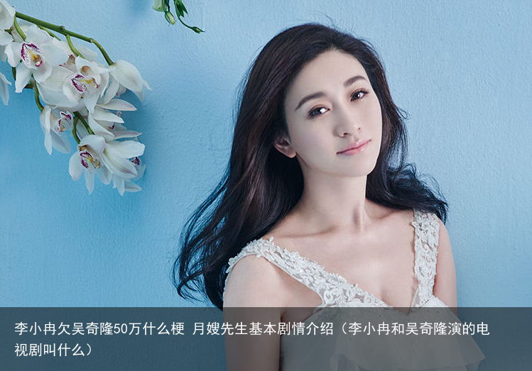 李小冉欠吴奇隆50万什么梗 月嫂先生基本剧情介绍（李小冉和吴奇隆演的电视剧叫什么）