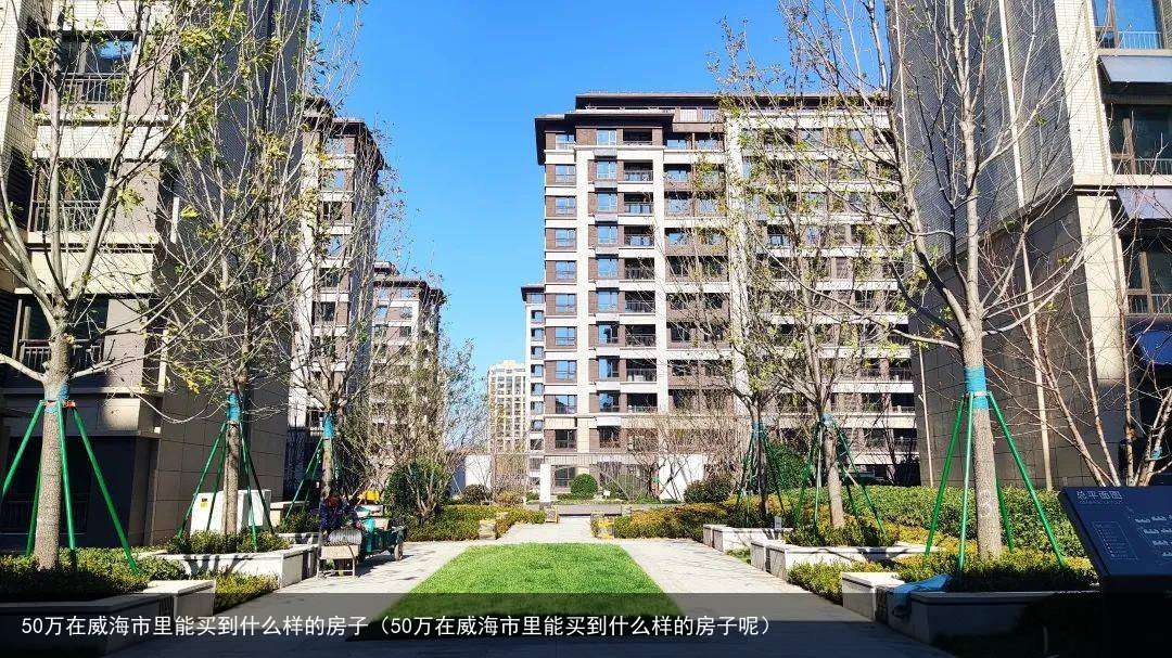 50万在威海市里能买到什么样的房子（50万在威海市里能买到什么样的房子呢）