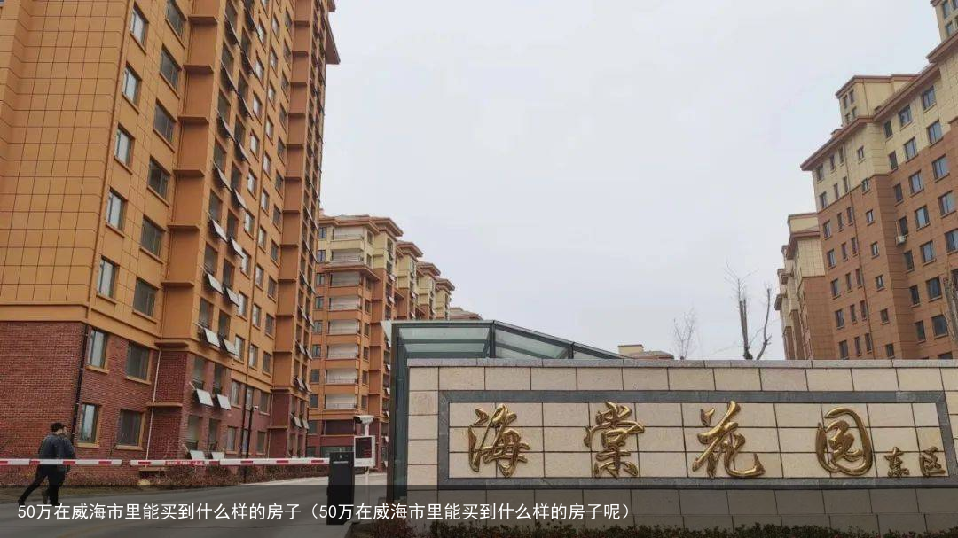 50万在威海市里能买到什么样的房子（50万在威海市里能买到什么样的房子呢）