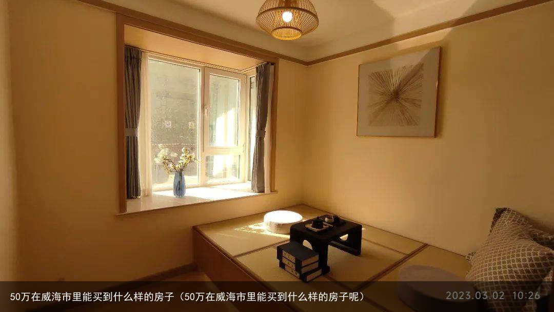 50万在威海市里能买到什么样的房子（50万在威海市里能买到什么样的房子呢）