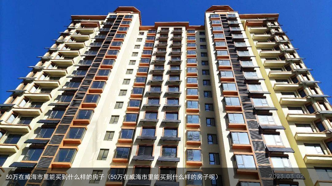 50万在威海市里能买到什么样的房子（50万在威海市里能买到什么样的房子呢）