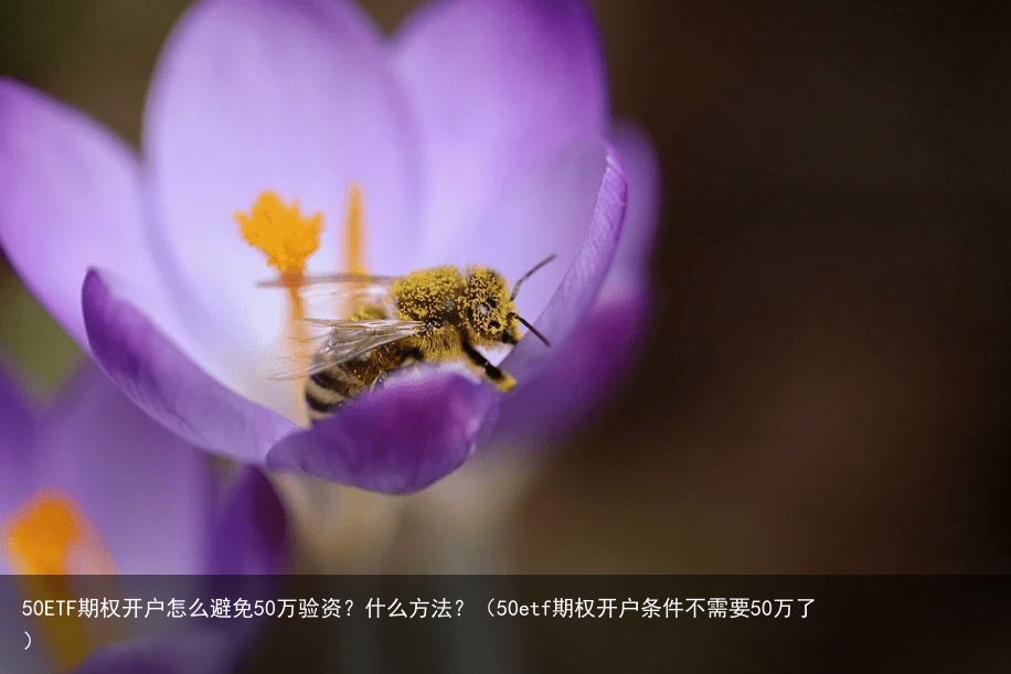 50ETF期权开户怎么避免50万验资？什么方法？（50etf期权开户条件不需要50万了）