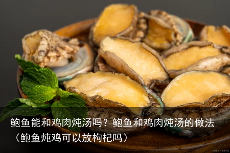 鲍鱼能和鸡肉炖汤吗？鲍鱼和鸡肉炖汤的做法（鲍鱼炖鸡可以放枸杞吗）
