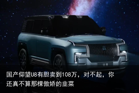 国产仰望U8有胆卖到108万，对不起，你还真不算那棵傲娇的韭菜