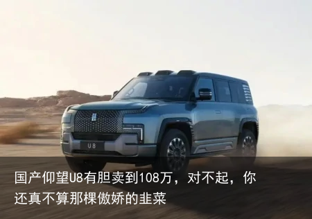 国产仰望U8有胆卖到108万，对不起，你还真不算那棵傲娇的韭菜