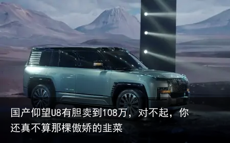 国产仰望U8有胆卖到108万，对不起，你还真不算那棵傲娇的韭菜