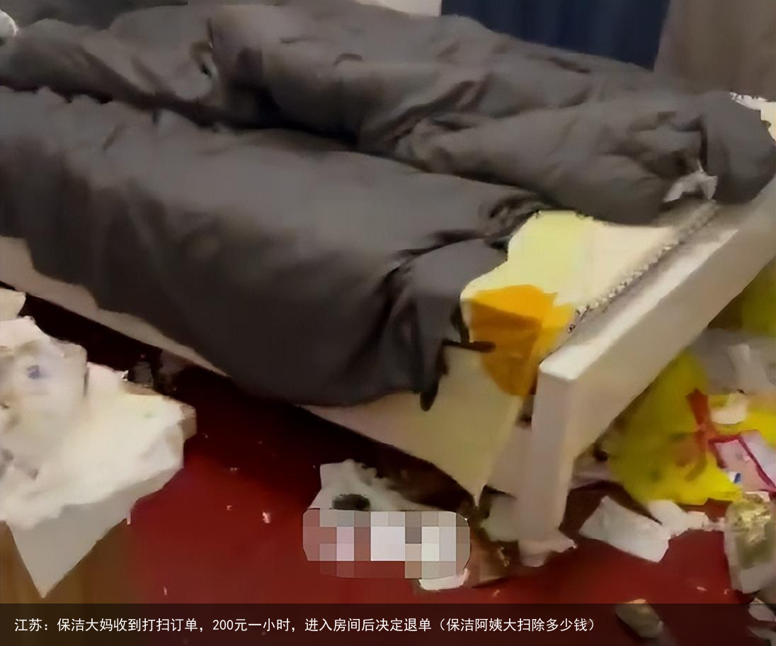 江苏：保洁大妈收到打扫订单，200元一小时，进入房间后决定退单（保洁阿姨大扫除多少钱）