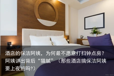 酒店的保洁阿姨，为何最不愿意打扫钟点房？阿姨讲出背后“猫腻”（那些酒店搞保洁阿姨要上夜班吗?）