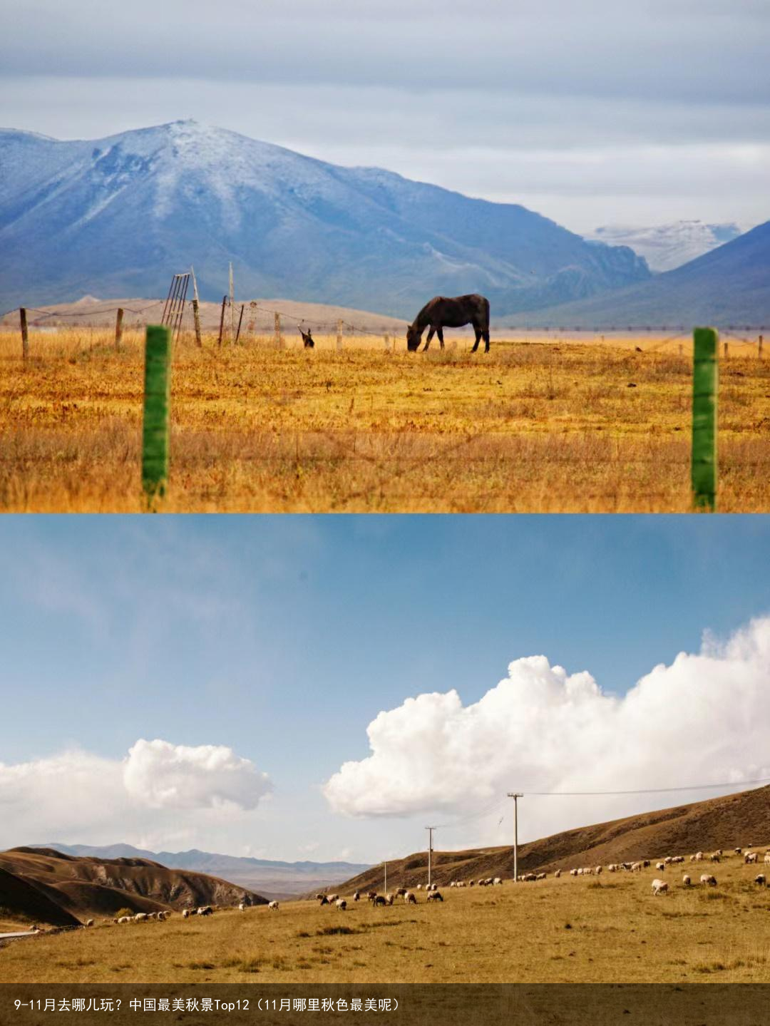 9-11月去哪儿玩？中国最美秋景Top12（11月哪里秋色最美呢）