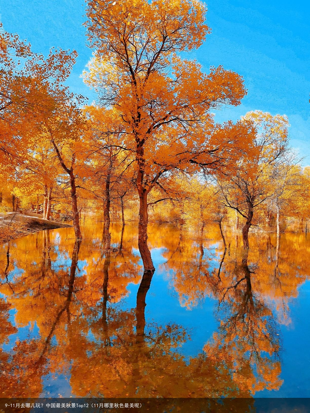 9-11月去哪儿玩？中国最美秋景Top12（11月哪里秋色最美呢）