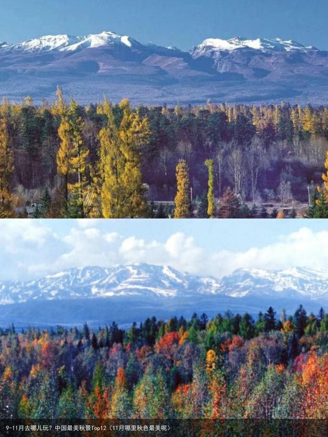 9-11月去哪儿玩？中国最美秋景Top12（11月哪里秋色最美呢）